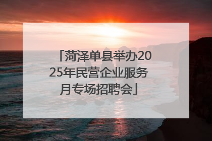 菏泽单县举办2025年民营企业服务月专场招聘会
