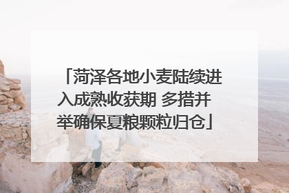 菏泽各地小麦陆续进入成熟收获期 多措并举确保夏粮颗粒归仓