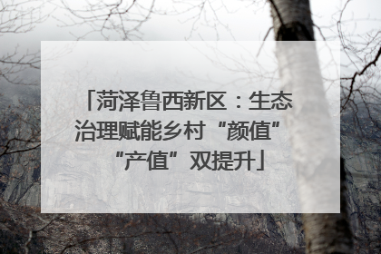 菏泽鲁西新区：生态治理赋能乡村“颜值”“产值”双提升