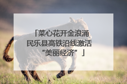 菜心花开金浪涌 民乐县高铁沿线激活“美丽经济”