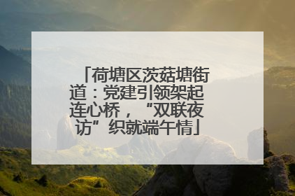 荷塘区茨菇塘街道：党建引领架起连心桥，“双联夜访”织就端午情