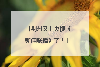 荆州又上央视《新闻联播》了！