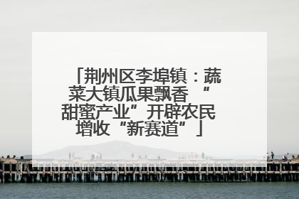 荆州区李埠镇：蔬菜大镇瓜果飘香 “甜蜜产业”开辟农民增收“新赛道”