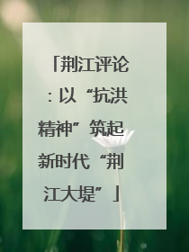 荆江评论：以“抗洪精神”筑起新时代“荆江大堤”