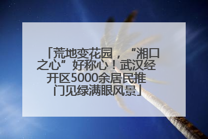 荒地变花园，“湘口之心”好称心！武汉经开区5000余居民推门见绿满眼风景