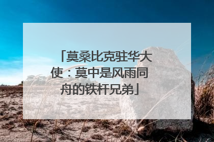 莫桑比克驻华大使：莫中是风雨同舟的铁杆兄弟