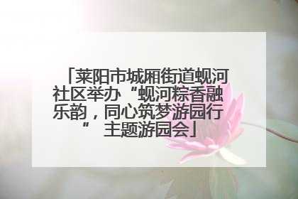 莱阳市城厢街道蚬河社区举办“蚬河粽香融乐韵，同心筑梦游园行” 主题游园会
