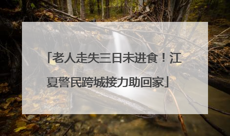 老人走失三日未进食！江夏警民跨城接力助回家