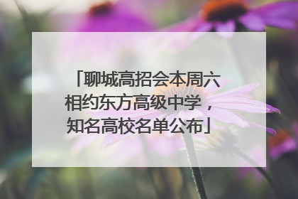 聊城高招会本周六相约东方高级中学，知名高校名单公布