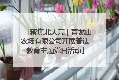 聚焦北大荒｜青龙山农场有限公司开展普法教育主题党日活动