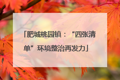 肥城桃园镇：“四张清单”环境整治再发力