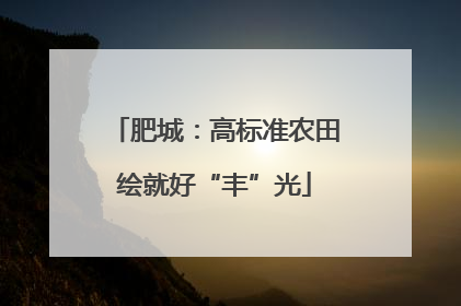 肥城：高标准农田绘就好“丰”光