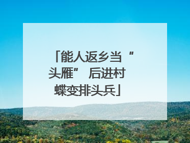 能人返乡当“头雁” 后进村蝶变排头兵