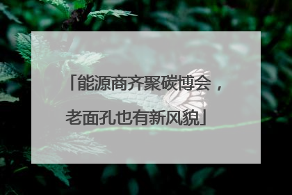 能源商齐聚碳博会，老面孔也有新风貌