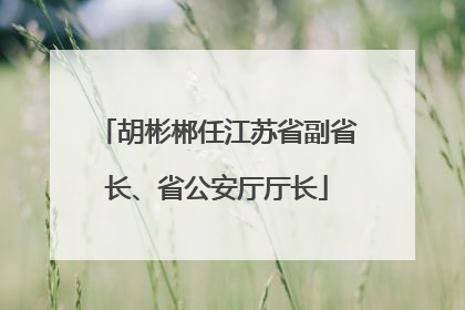 胡彬郴任江苏省副省长、省公安厅厅长