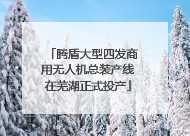 腾盾大型四发商用无人机总装产线在芜湖正式投产