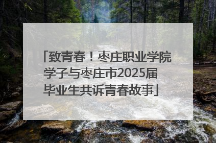 致青春！枣庄职业学院学子与枣庄市2025届毕业生共诉青春故事