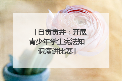 自贡贡井：开展青少年学生宪法知识演讲比赛