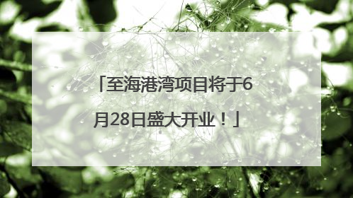 至海港湾项目将于6月28日盛大开业！