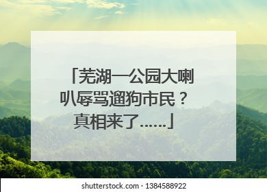 芜湖一公园大喇叭辱骂遛狗市民？真相来了……