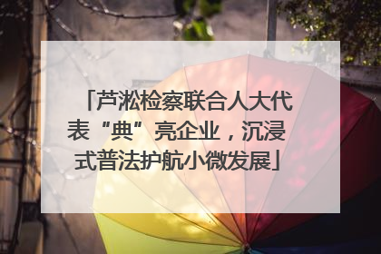 芦淞检察联合人大代表“典”亮企业，沉浸式普法护航小微发展