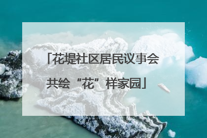 花堤社区居民议事会共绘“花”样家园