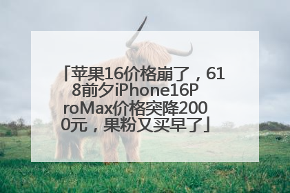 苹果16价格崩了，618前夕iPhone16ProMax价格突降2000元，果粉又买早了