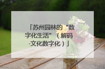 苏州园林的“数字化生活”（解码·文化数字化）