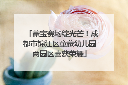 蒙宝赛场绽光芒！成都市锦江区童蒙幼儿园两园区喜获荣耀