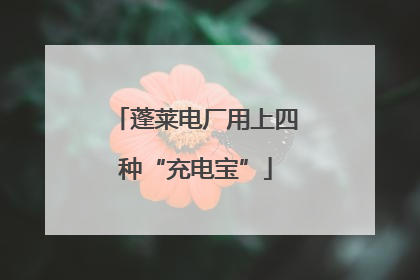 蓬莱电厂用上四种“充电宝”
