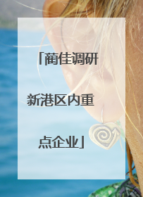 蔺佳调研新港区内重点企业