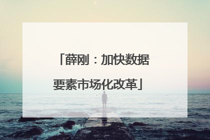 薛刚：加快数据要素市场化改革