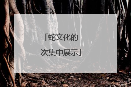 蛇文化的一次集中展示