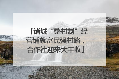 诸城“整村制”经营铺就富民强村路，合作社迎来大丰收