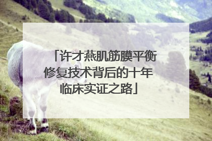 许才燕肌筋膜平衡修复技术背后的十年临床实证之路