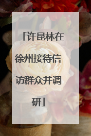 许昆林在徐州接待信访群众并调研