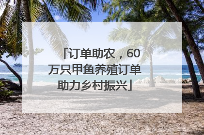 订单助农，60万只甲鱼养殖订单助力乡村振兴