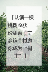 认领一棵桃树收获一份甜蜜，宁乡这个村邀你成为“树主”
