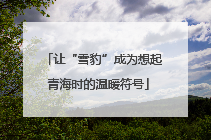 让“雪豹”成为想起青海时的温暖符号