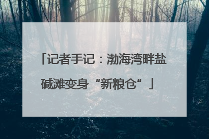 记者手记：渤海湾畔盐碱滩变身“新粮仓”