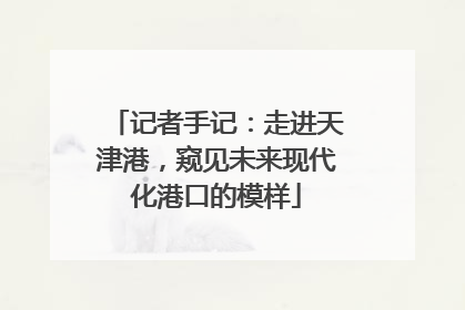 记者手记：走进天津港，窥见未来现代化港口的模样