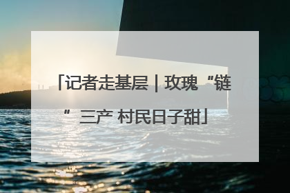 记者走基层｜玫瑰“链”三产 村民日子甜