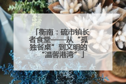 衡南：硫市镇长者食堂——从“孤独餐桌”到文明的“温馨港湾”