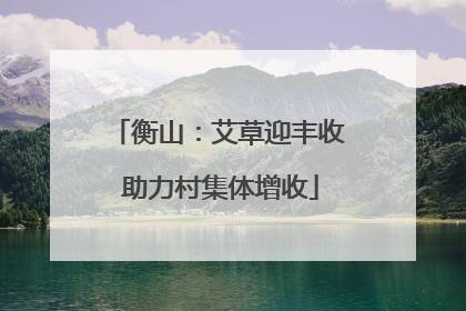 衡山：艾草迎丰收 助力村集体增收