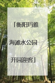 衡阳玛雅海滩水公园开园迎客