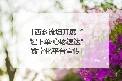西乡流塘开展“一键下单·心愿速达”数字化平台宣传