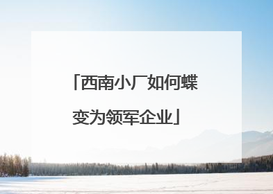 西南小厂如何蝶变为领军企业