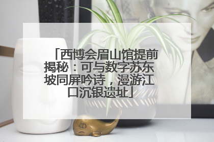 西博会眉山馆提前揭秘：可与数字苏东坡同屏吟诗，漫游江口沉银遗址