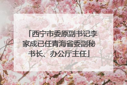 西宁市委原副书记李家成已任青海省委副秘书长、办公厅主任