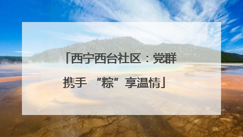 西宁西台社区：党群携手 “粽”享温情